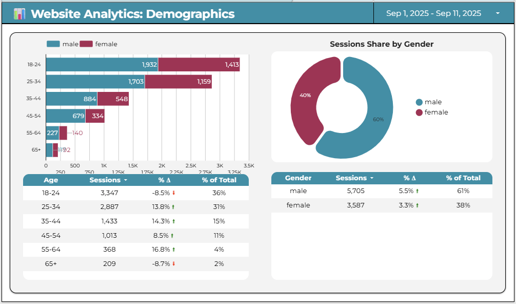Website Analytics Demographics