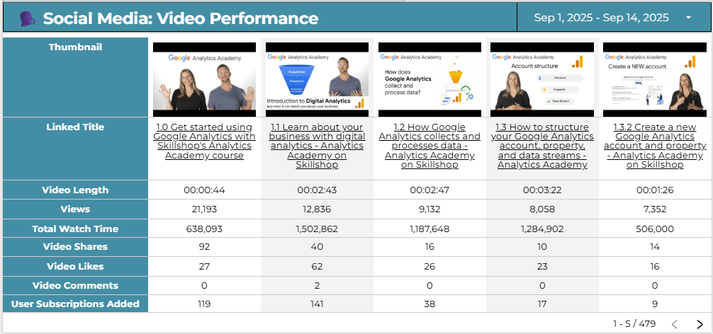 Social Media Video Performance